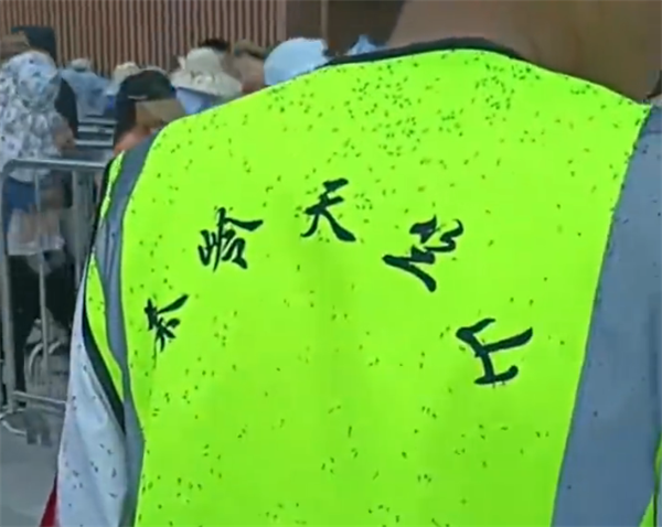 陕西一景区大量虫子往游客脖子里钻：天气原因 已处理